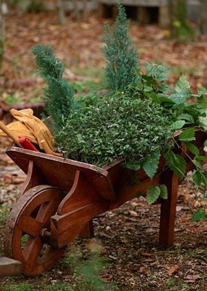 刀剣鑑定を三重県内で安心して行うには