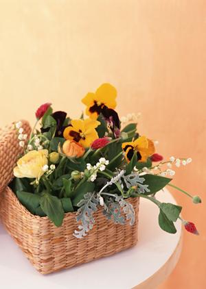 さいたま市西区にあるタカラスタンダード さいたまショールームの魅力と詳細情報