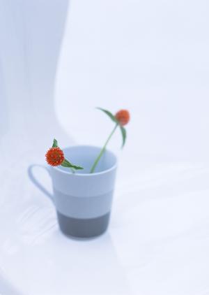 予算に合ったオーダーメイドの結婚指輪を買おう